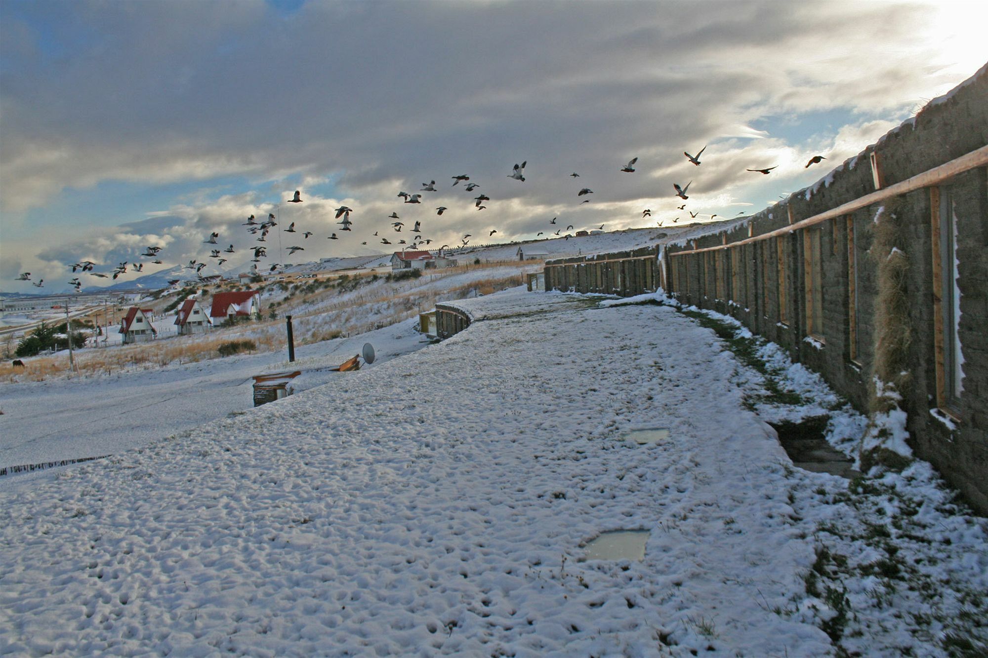 Hotel Altiplanico Puerto Natales Buitenkant foto